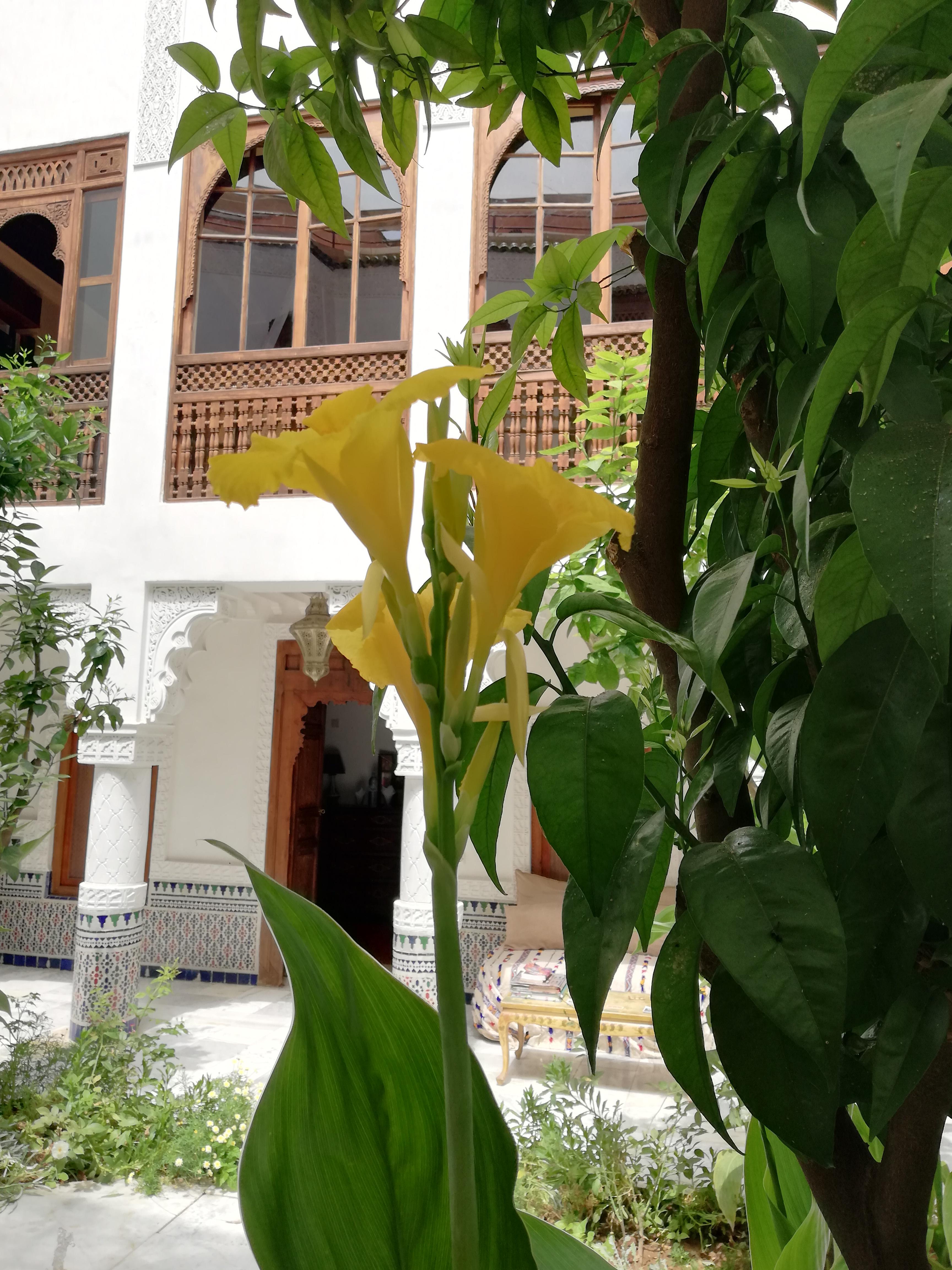 Riad Ben Youssef Marakeş Dış mekan fotoğraf